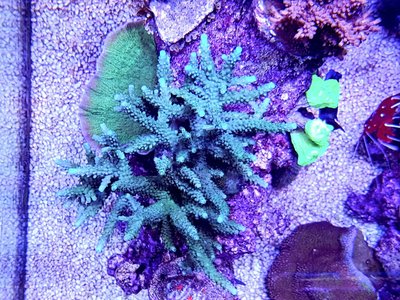 LRM_EXPORT_20170413_210420-1536x1152.jpg