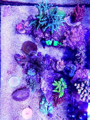 LRM_EXPORT_20170413_210517-1152x1536.jpg