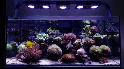 IMG-20170416-WA0006.jpg