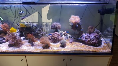 rps20170515_194028.jpg