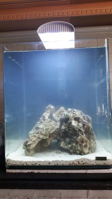 IMG-20170610-WA0002.jpg