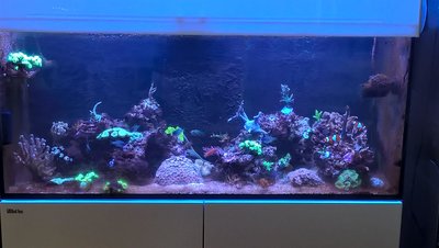 WP_20170611_16_04_30_Pro.jpg