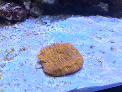 IMG_8451.JPG