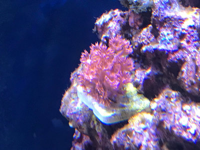 IMG_8462.JPG