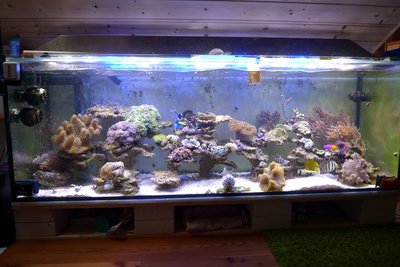 P1010413.JPG