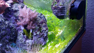 IMG-20150924-WA0021.jpg