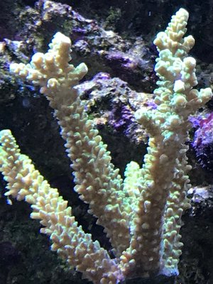 IMG_5581.JPG