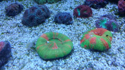 IMG-20151001-WA0007.jpg