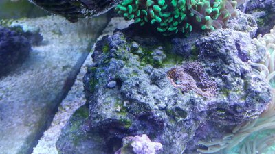 IMG-20151001-WA0004.jpg