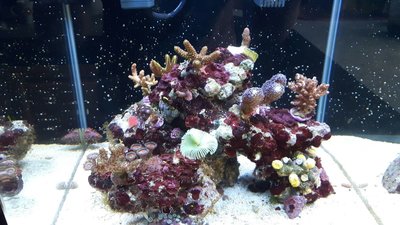 IMG-20170730-WA0018.jpg
