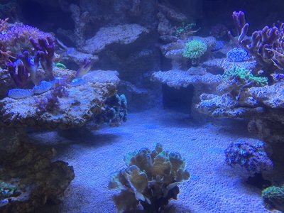 IMG_1967.JPG