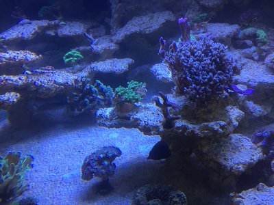 IMG_1966.JPG