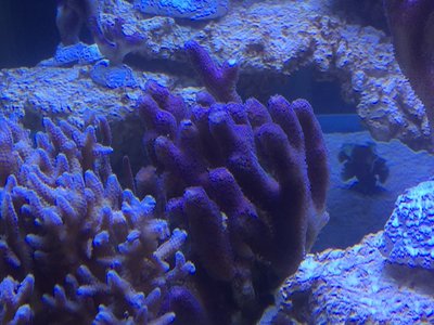 IMG_1962.JPG