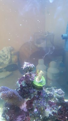 IMG-20170819-WA0000.jpg