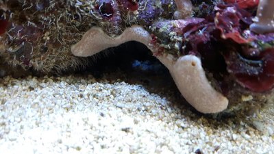 IMG-20170820-WA0018.jpg