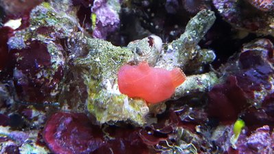 IMG-20170820-WA0017.jpg