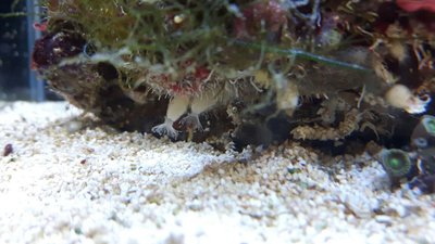 IMG-20170820-WA0015.jpg