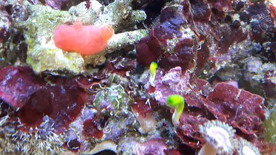 20170820_102953-2304x1296.jpg