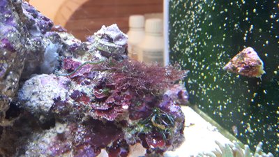 20170820_103130-2304x1296.jpg