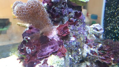 IMG-20170820-WA0016.jpg