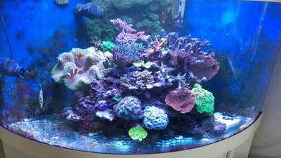 2017083118304000.jpg