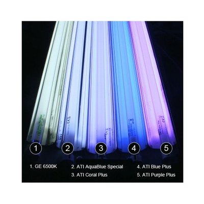 ati_t5_colorchart_11.jpg