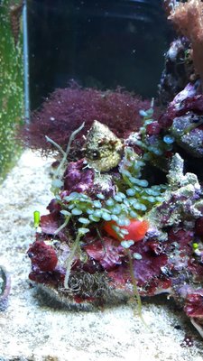 IMG-20170926-WA0003.jpg