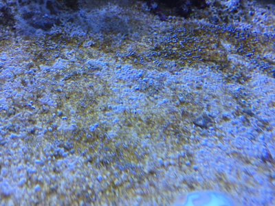 IMG_4117.JPG