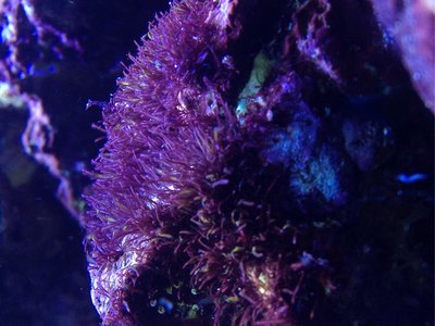 image.jpg (909.73 KiB) 9183 mal betrachtet Ja... Dieses...