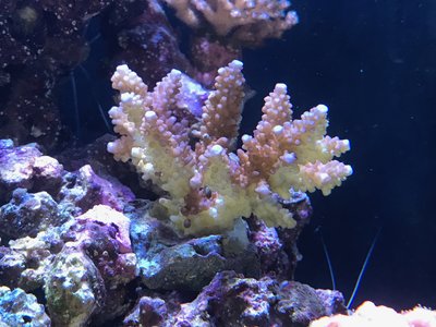IMG_9989.jpg