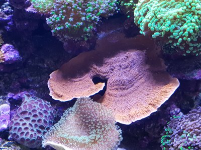 20171030_191103-1612x1209.jpg