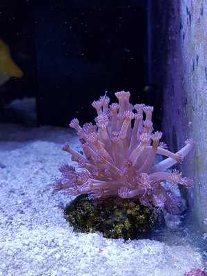 20171030_185355-1209x1612.jpg