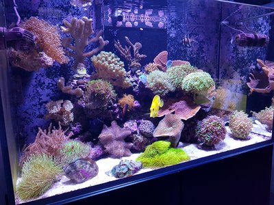 20171029_171147-1612x1209.jpg