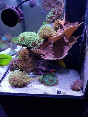 20171029_171437-1209x1612.jpg