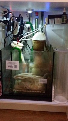 20151006_201000.jpg