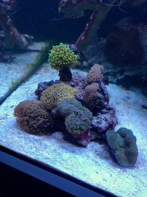 IMG_0107.jpg