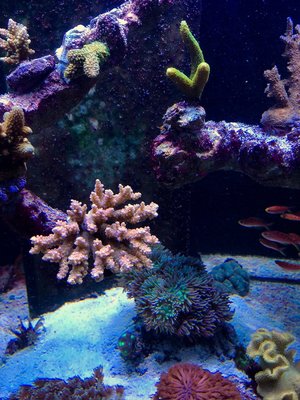 IMG_8665.jpg