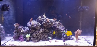 20171123_113443-1612x784.jpg