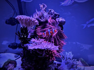 IMG_20171125_154937.jpg