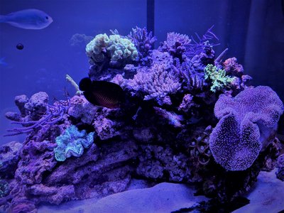 IMG_20171125_154942.jpg