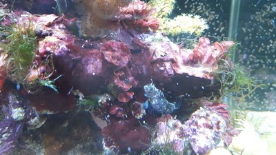 IMG-20171203-WA0007.jpg