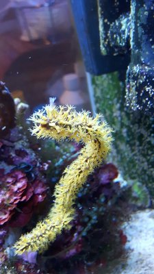 IMG-20171203-WA0008.jpg
