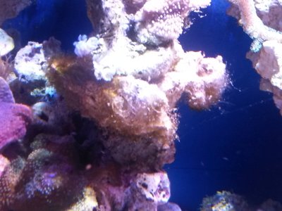 20151008_081843.jpg