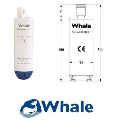 whale.JPG