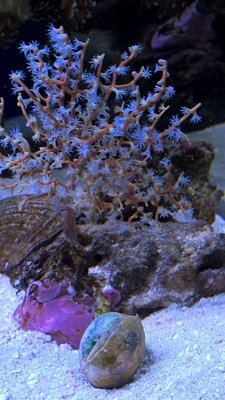 IMG-20150616-WA0007.jpg (177.27 KiB) 15910 mal betrachtet Auch mal ein paar Fotos aus mein Becken