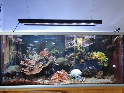 Foto neu.jpg (573.43 KiB) 11202 mal betrachtet Becken 01.07.2020