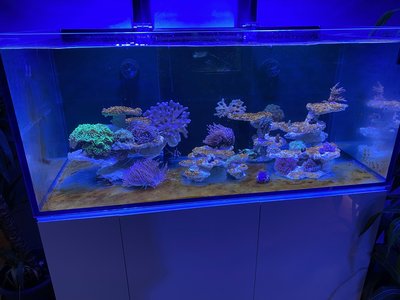 Aquarium 5.04.2021.jpg