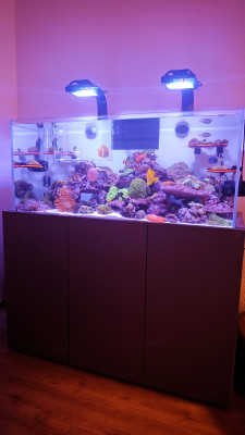 IMG_20240722_113555.jpg