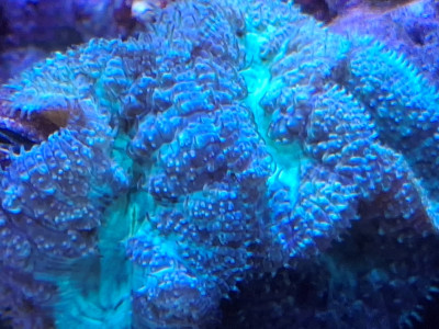 20250904_161807.jpg