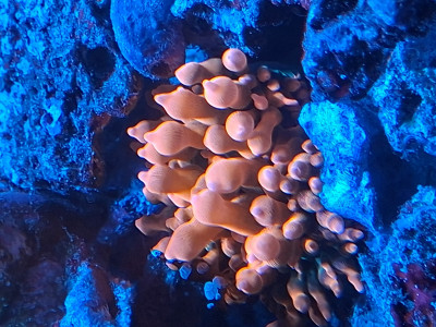 20250929_173734.jpg